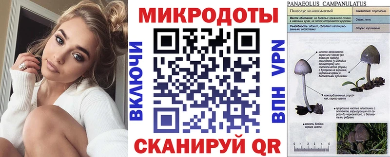 Псилоцибиновые грибы Psilocybine cubensis  Шилка 